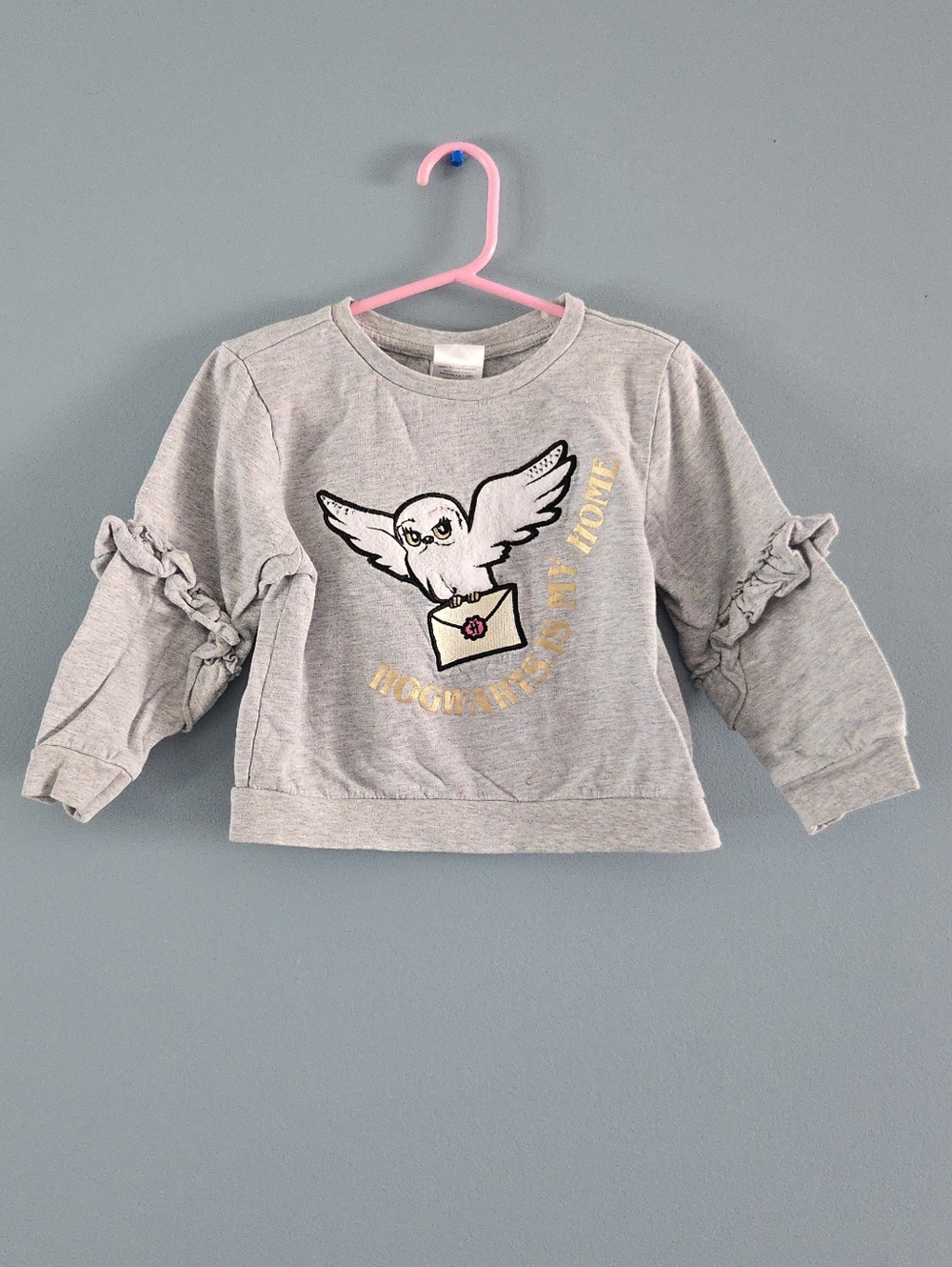4T Harry Potter Hedwig Sweatshirt girls
